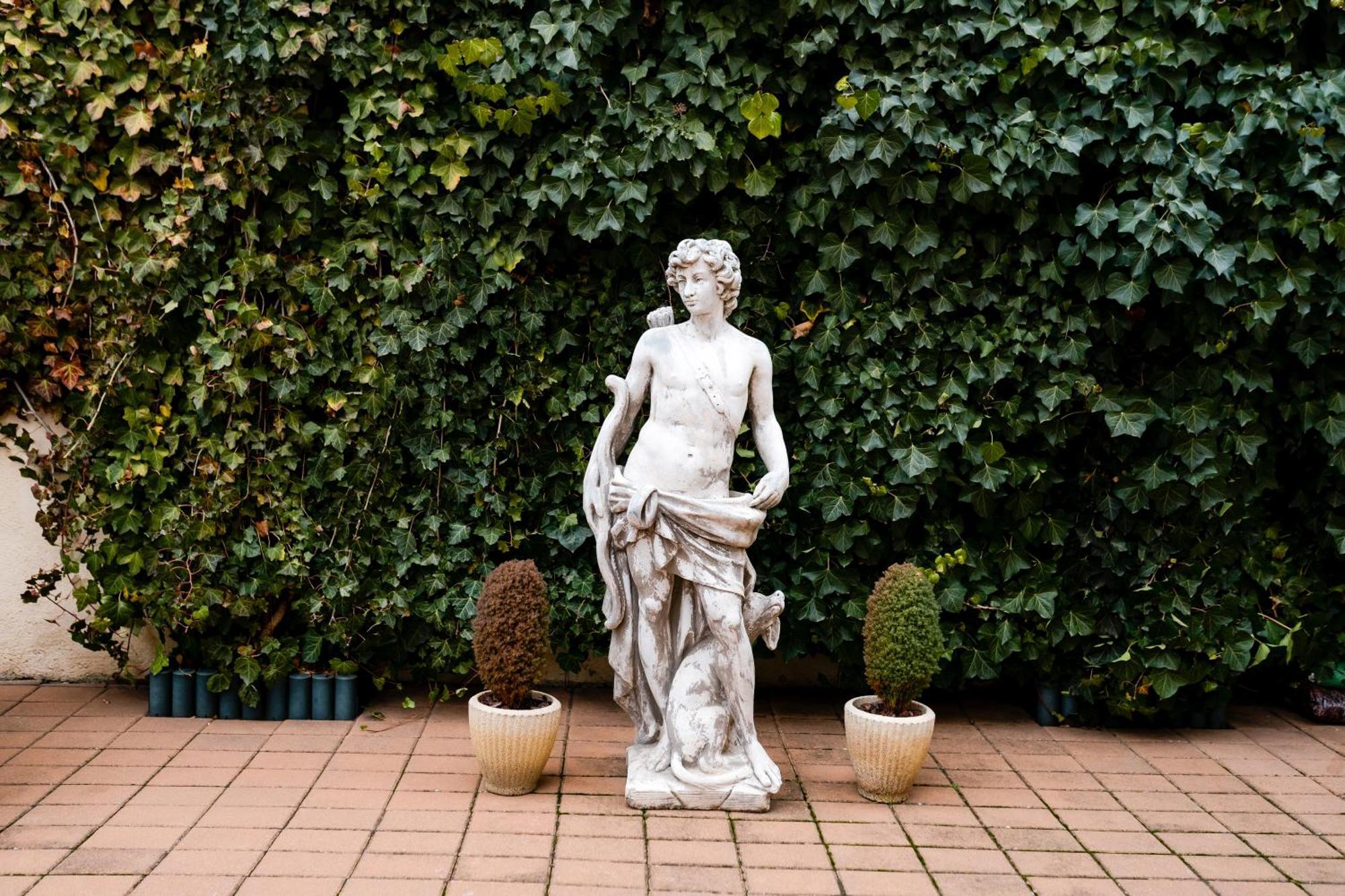Rosen Villa Sibiu Bagian luar foto